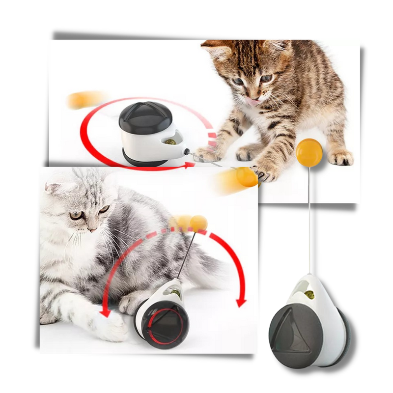 Jouet à balle interactif pour chats