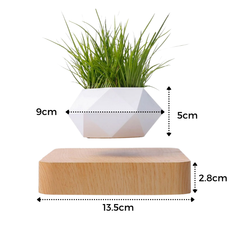 Pot à plante flottant en lévitation
