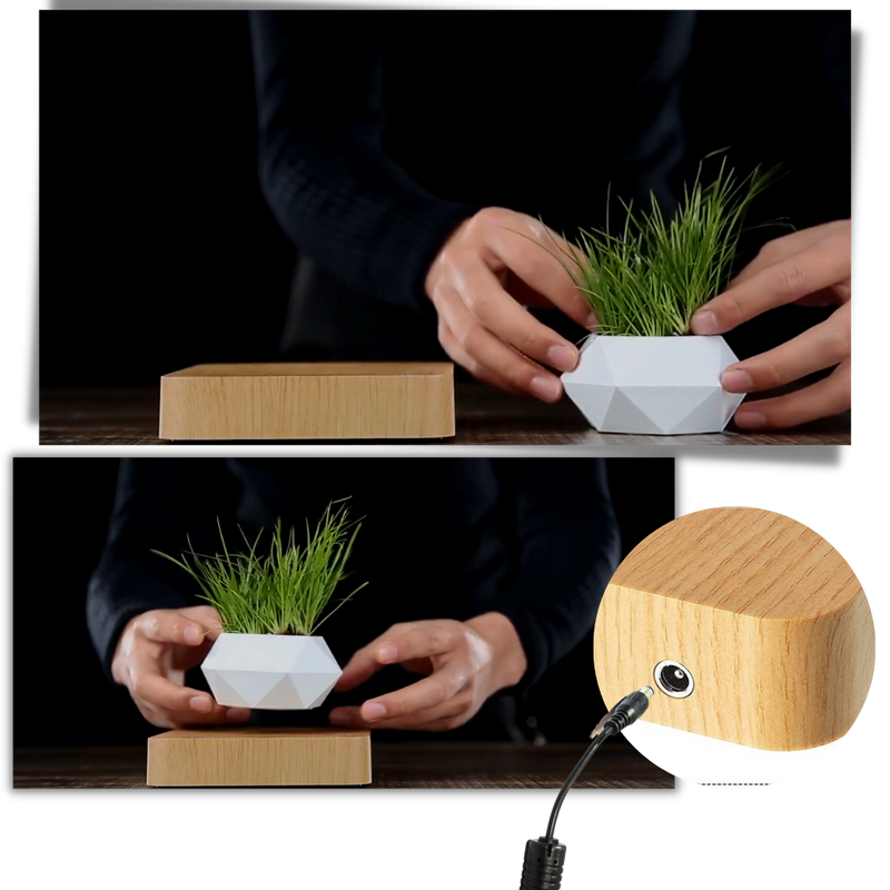 Pot à plante flottant en lévitation
