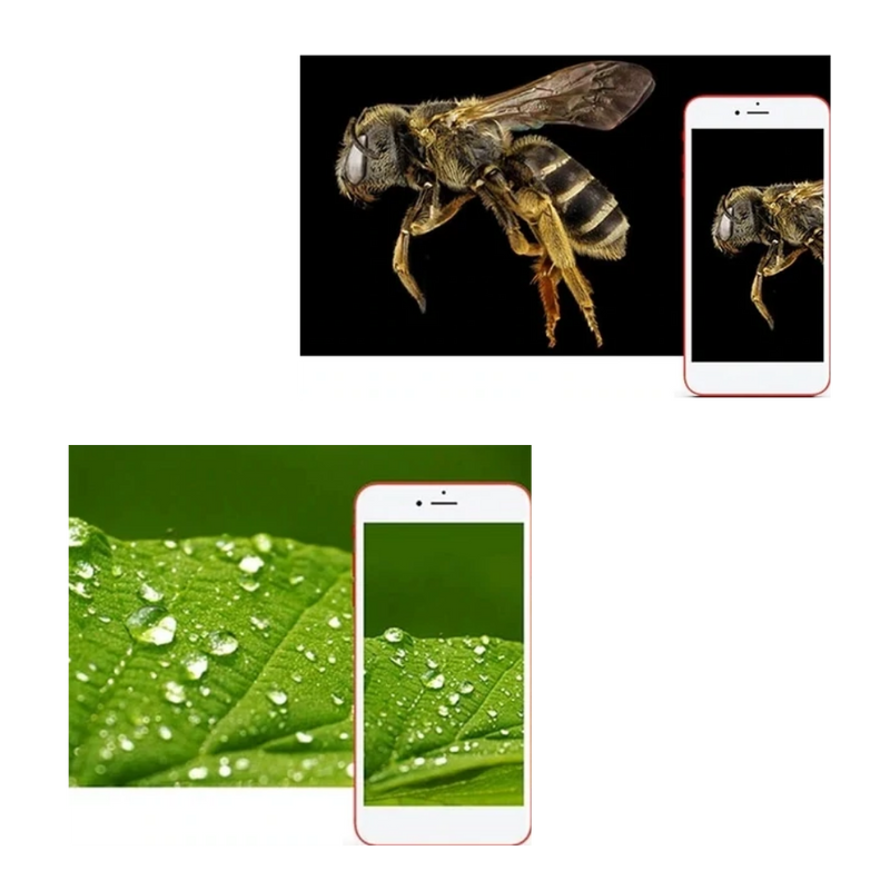 Microscope numérique à USB avec LED
