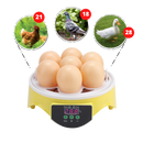 Mini incubateur automatique d'oeufs