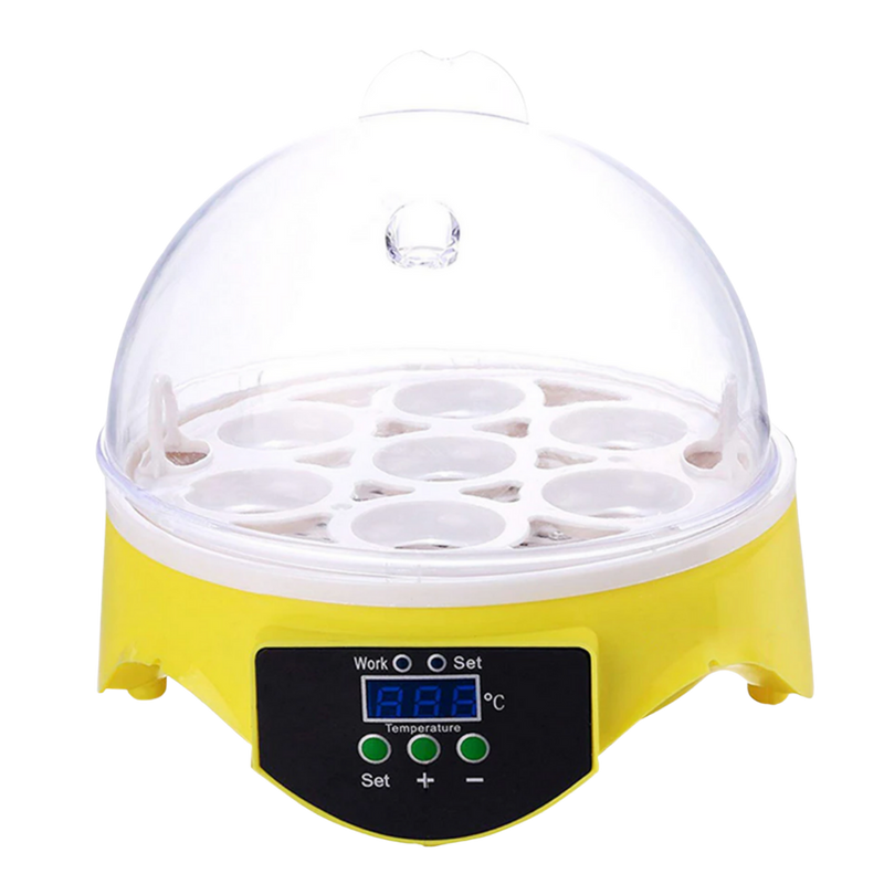 Mini incubateur automatique d'oeufs