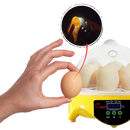 Mini incubateur automatique d'oeufs