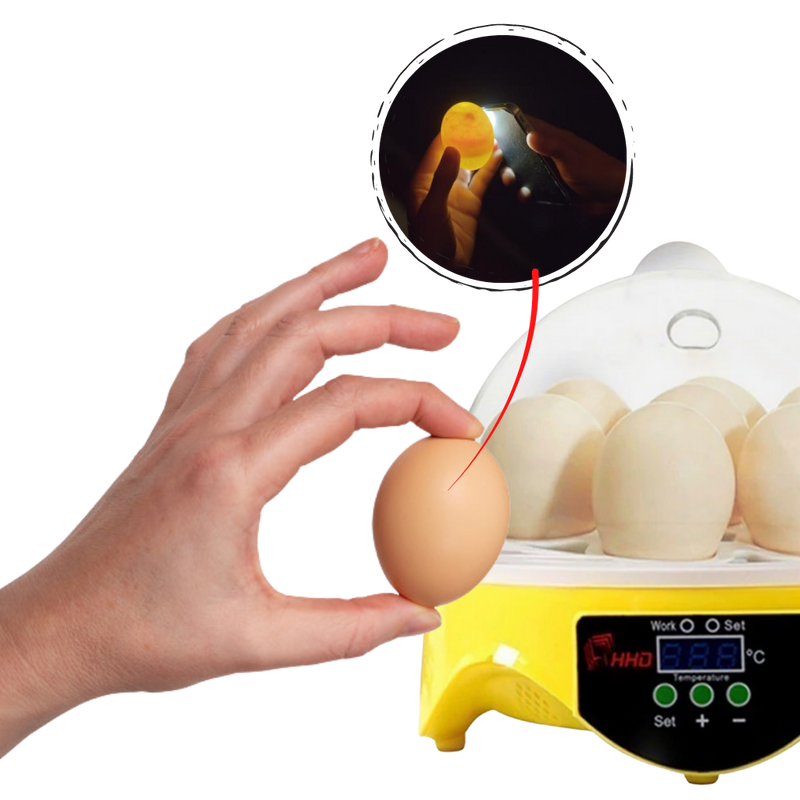 Mini incubateur automatique d'oeufs