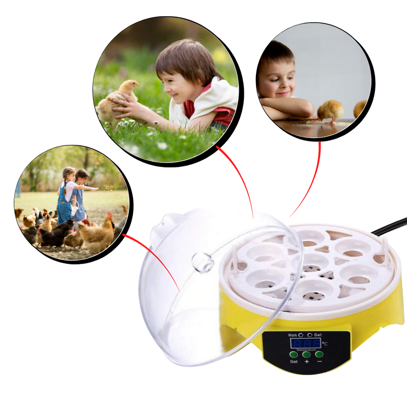 Mini incubateur automatique d'oeufs