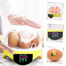 Mini incubateur automatique d'oeufs