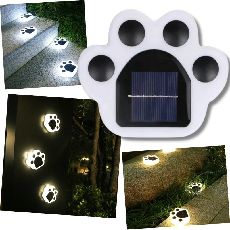 Lumière de chemin en forme d'empreinte de patte à énergie solaire