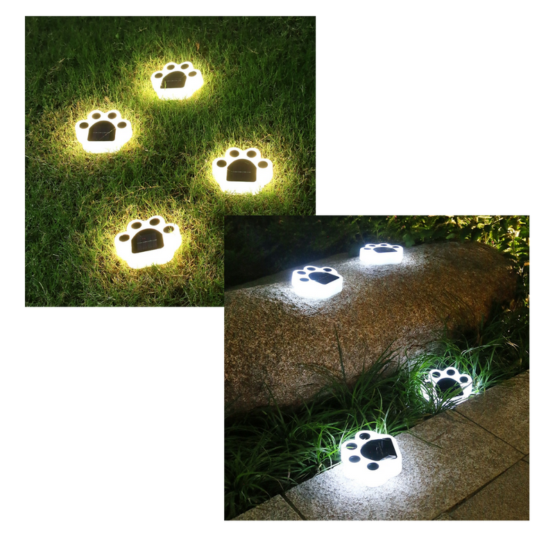 Lumière de chemin en forme d'empreinte de patte à énergie solaire