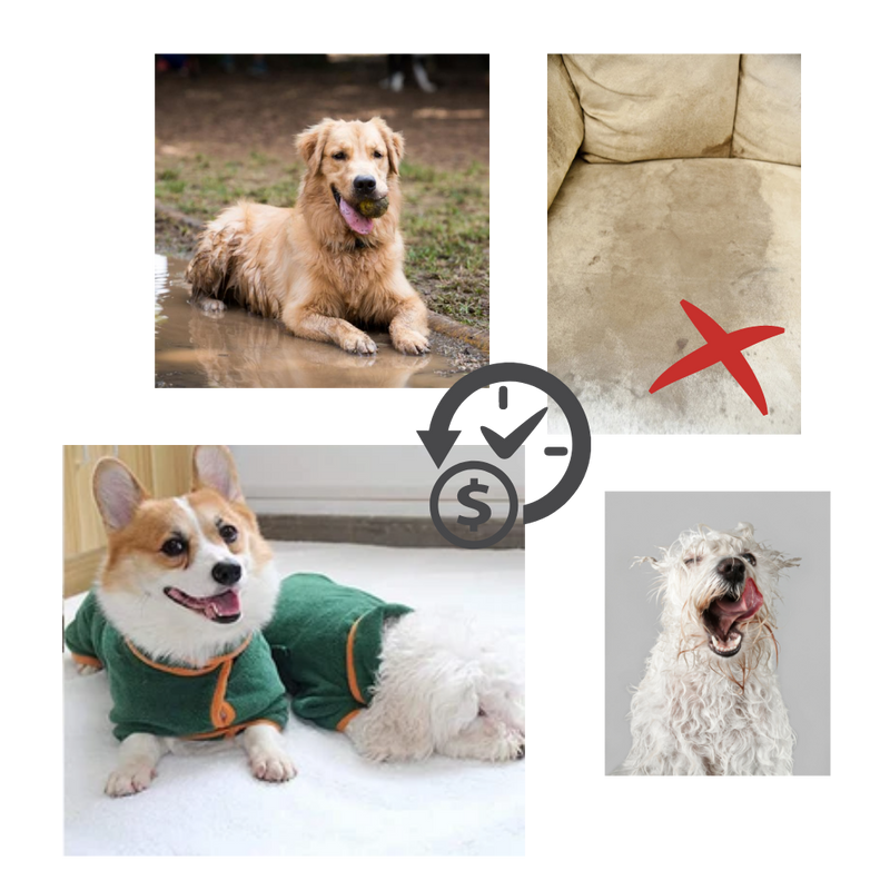 Peignoir super absorbant pour animaux de compagnie