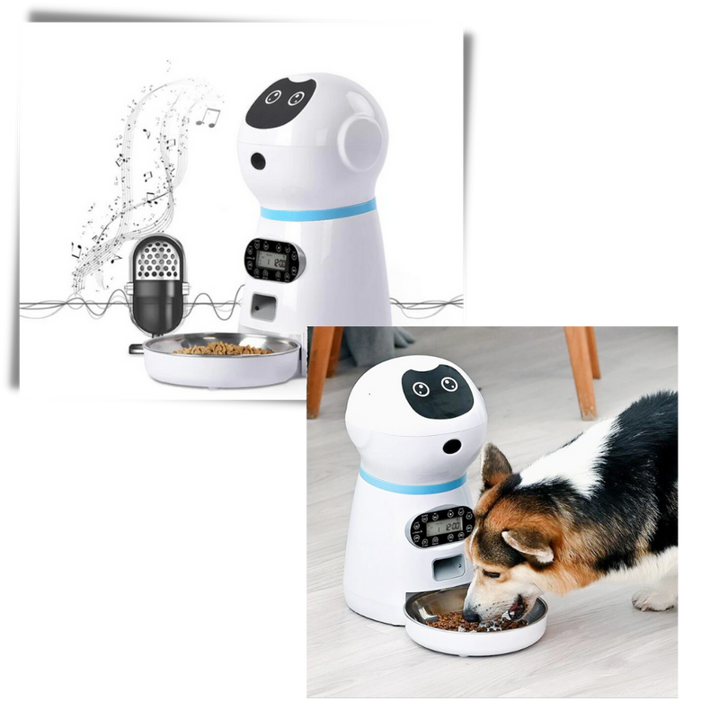 Distributeur automatique de nourriture pour animaux de compagnie