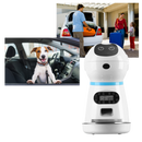 Distributeur automatique de nourriture pour animaux de compagnie