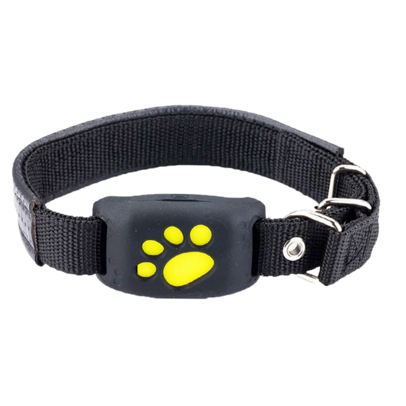 Collier de repérage GPS pour animaux de compagnie