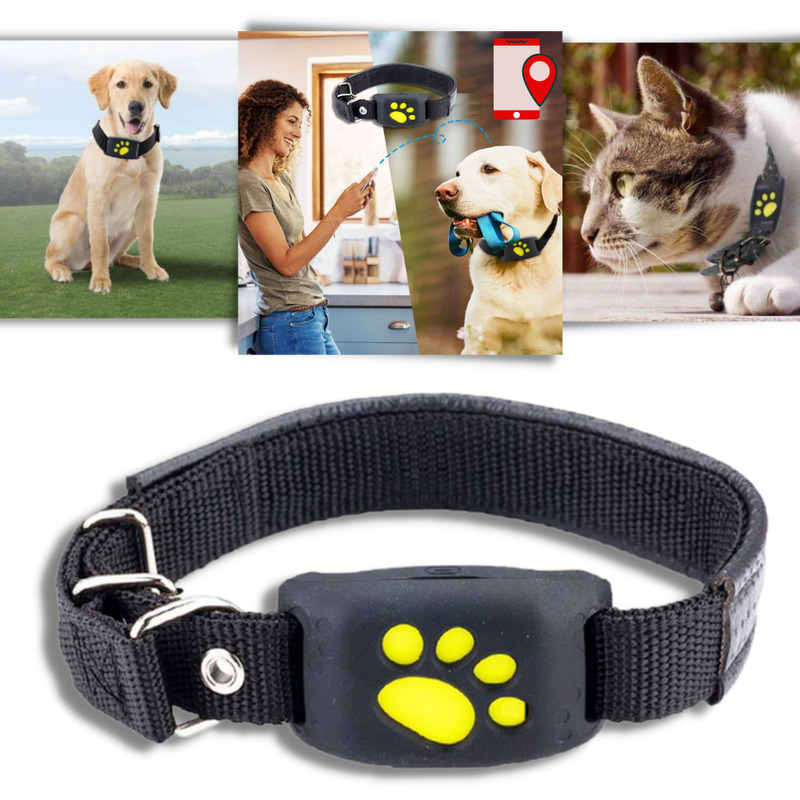 Collier de repérage GPS pour animaux de compagnie