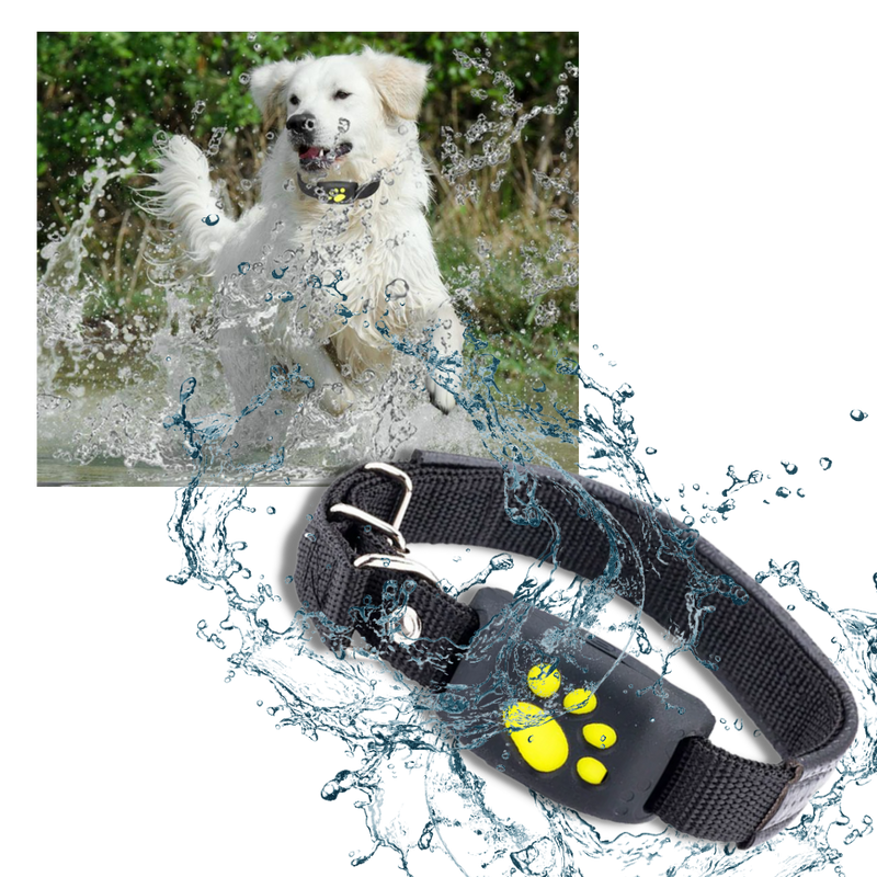 Collier de repérage GPS pour animaux de compagnie