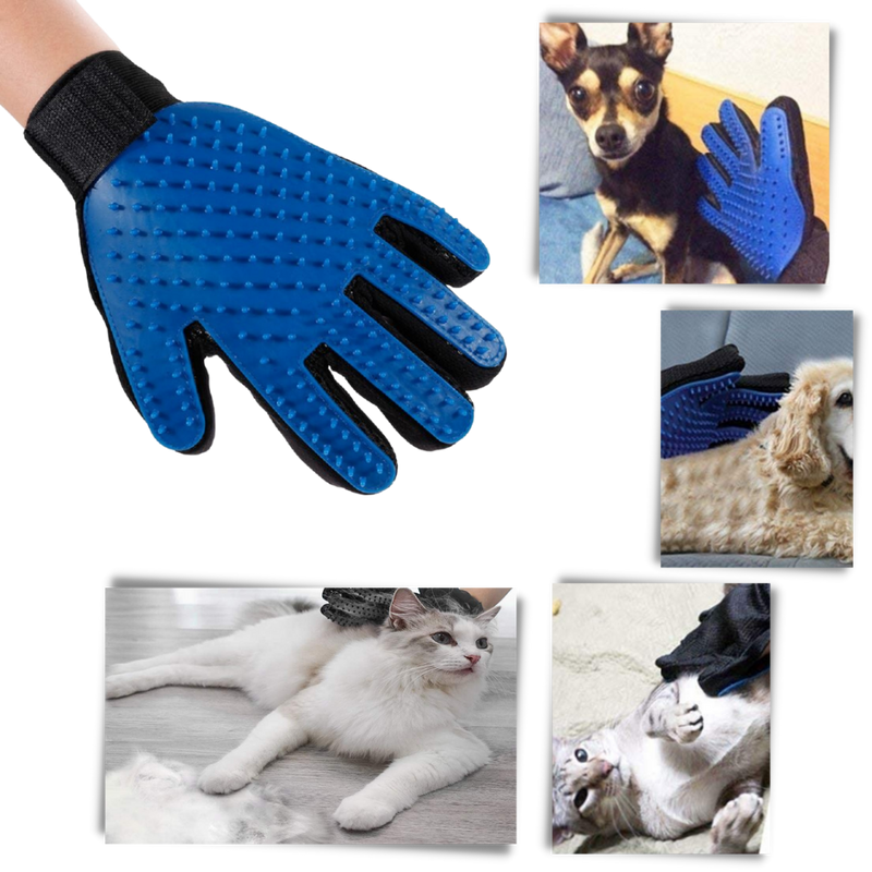 Gants de toilettage pour animaux (paire)