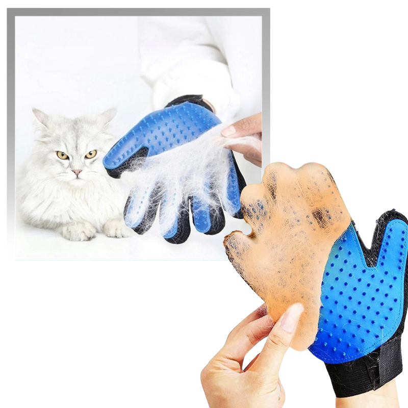 Gants de toilettage pour animaux (paire)