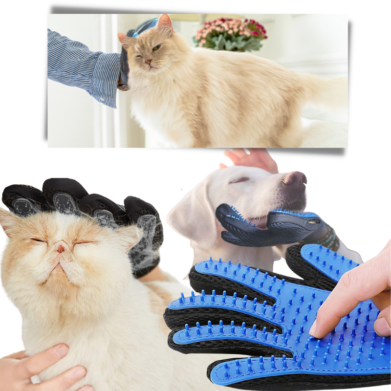 Gants de toilettage pour animaux (paire)