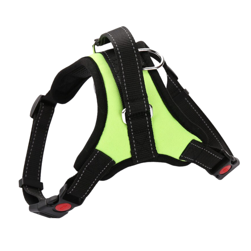 Harnais réglable avec bande réfléchissante pour chien