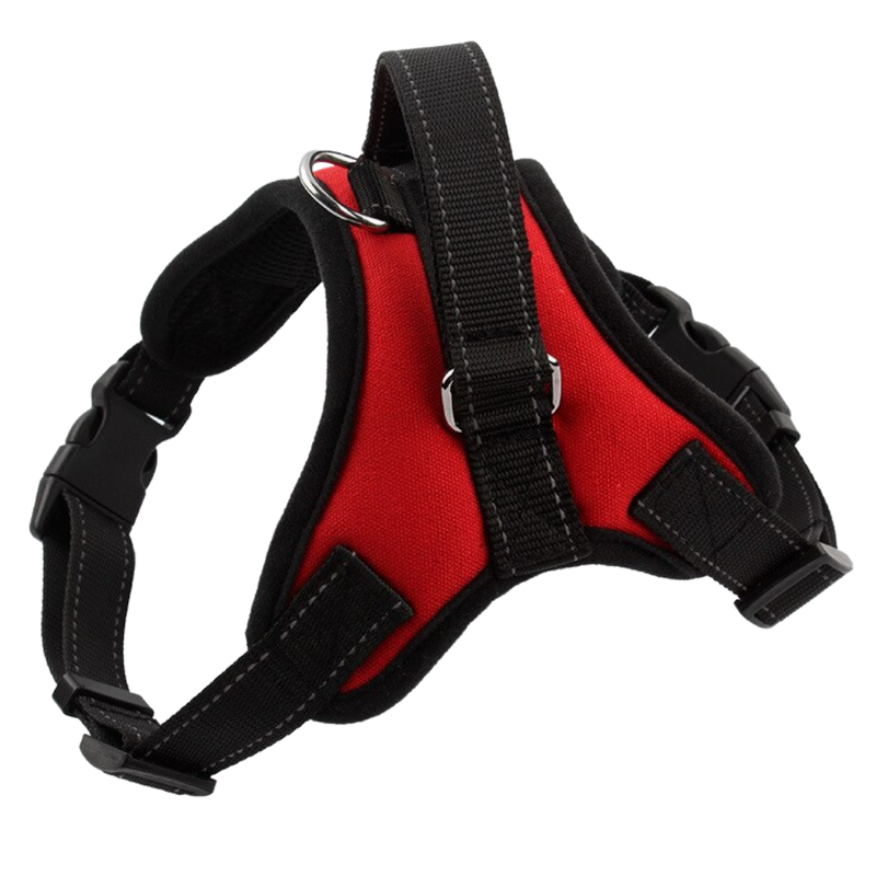 Harnais réglable avec bande réfléchissante pour chien