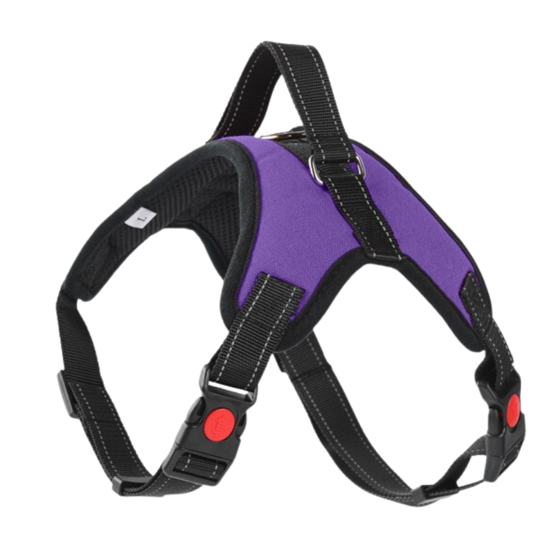 Harnais réglable avec bande réfléchissante pour chien