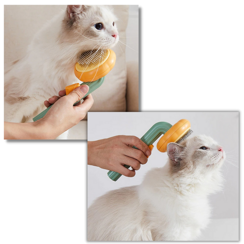 Brosse autonettoyante pour animaux de compagnie