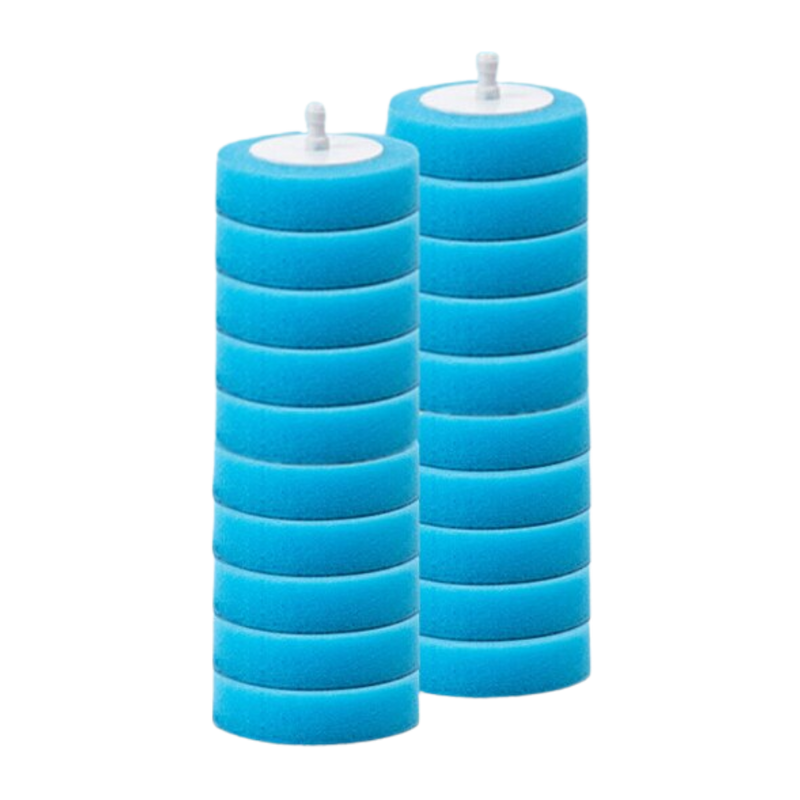 Ensemble de brosses de toilettes jetables