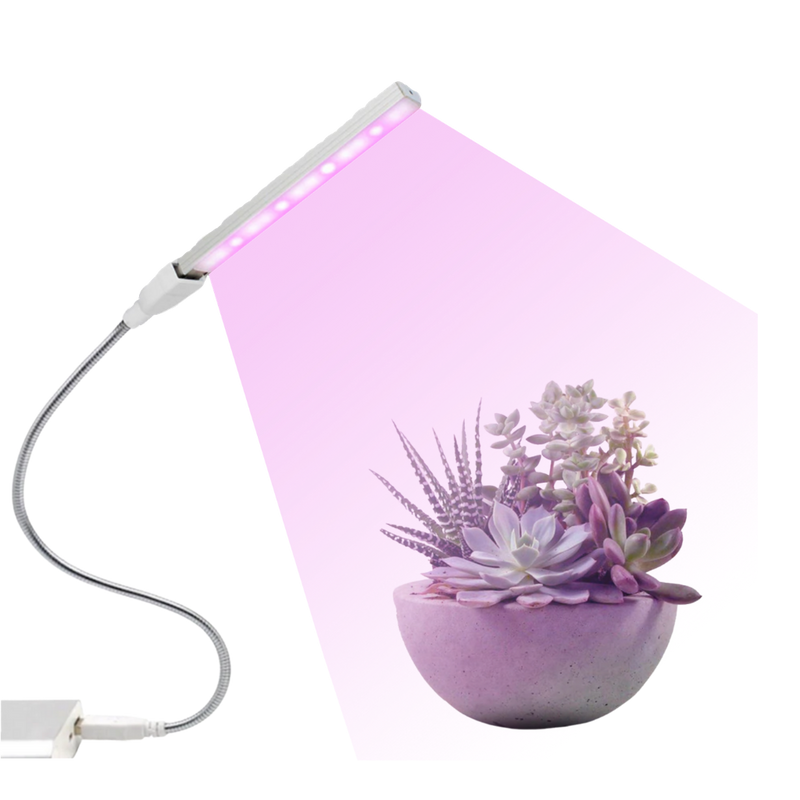 Lampe LED USB horticole de croissance pour plantes
