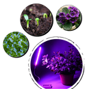 Lampe LED USB horticole de croissance pour plantes