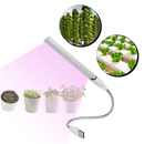 Lampe LED USB horticole de croissance pour plantes