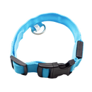 Collier lumineux pour animaux rechargeable par USB