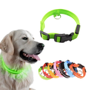 Collier lumineux pour animaux rechargeable par USB
