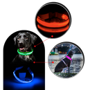 Collier lumineux pour animaux rechargeable par USB