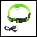 Collier lumineux pour animaux rechargeable par USB