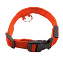 Collier lumineux pour animaux rechargeable par USB