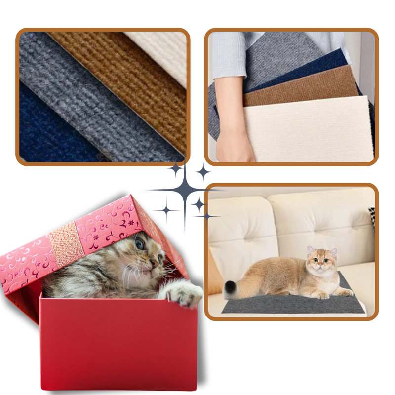 Griffoir mural adhésif pour chat