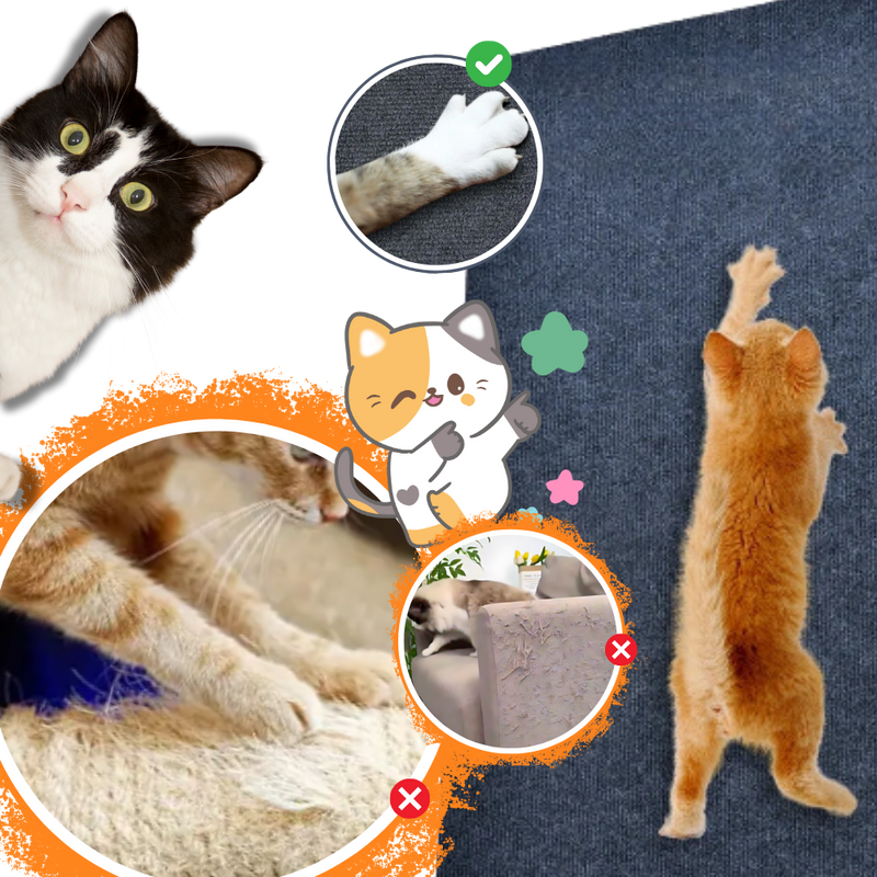 Griffoir mural adhésif pour chat