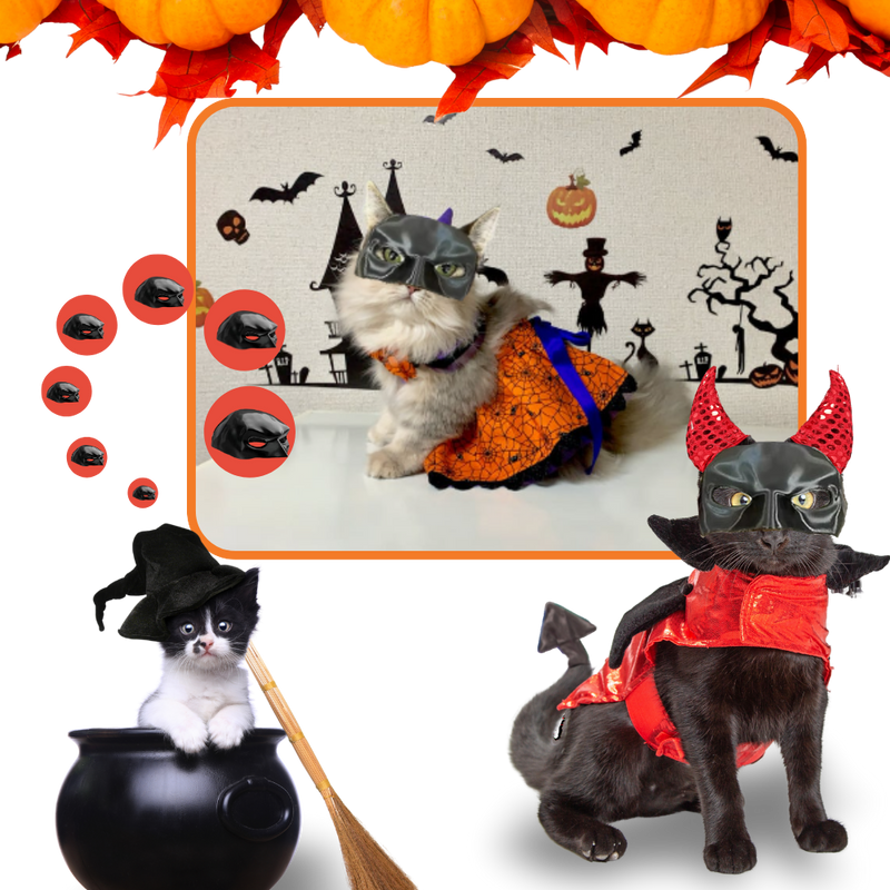 Irrésistible Masque Batman pour Chat