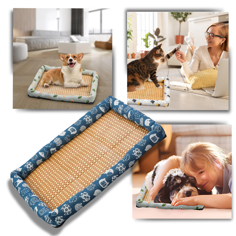 Tapis anti-dérapant et rafraîchissant pour animaux de compagnie