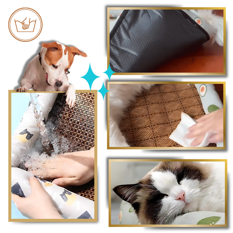Tapis anti-dérapant et rafraîchissant pour animaux de compagnie