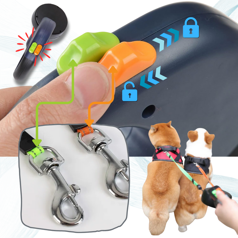 Laisse rétractable anti-enroulement pour chien