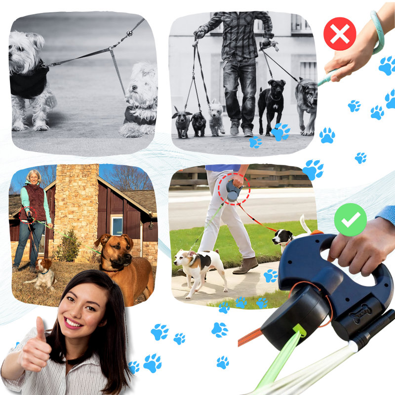 Laisse rétractable anti-enroulement pour chien