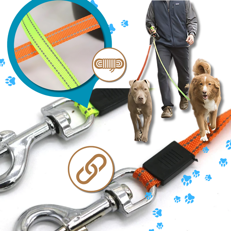 Laisse rétractable anti-enroulement pour chien