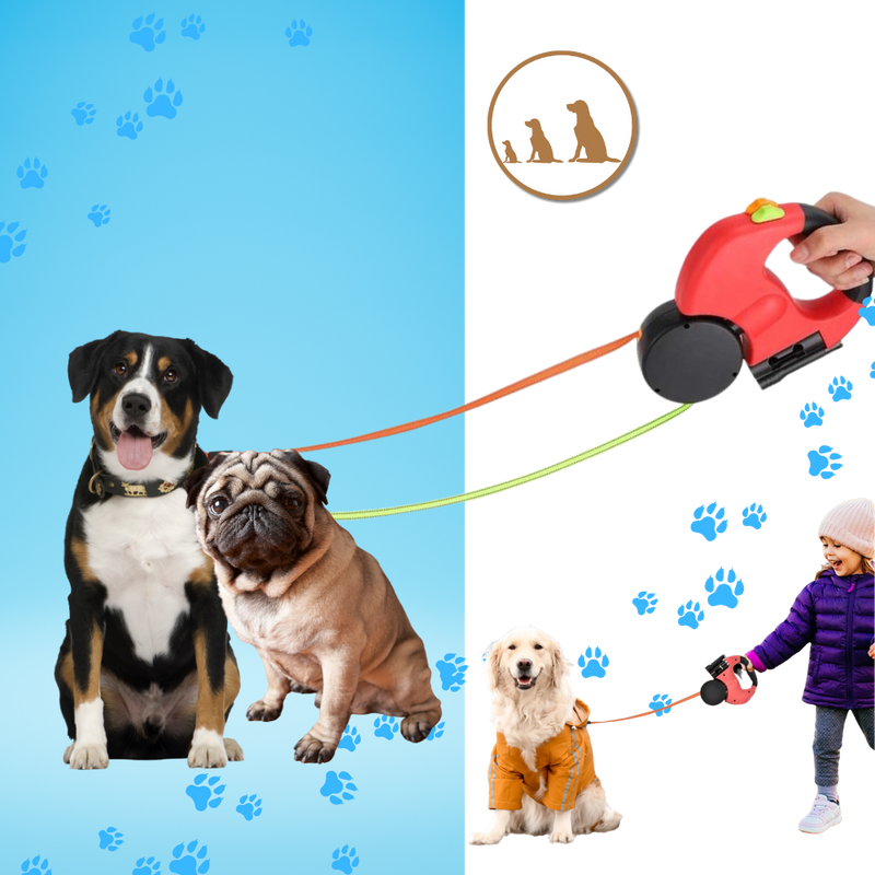 Laisse rétractable anti-enroulement pour chien