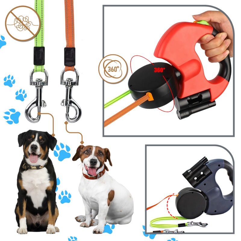 Laisse rétractable anti-enroulement pour chien