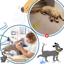 Phéromone apaisante pour animaux de compagnie