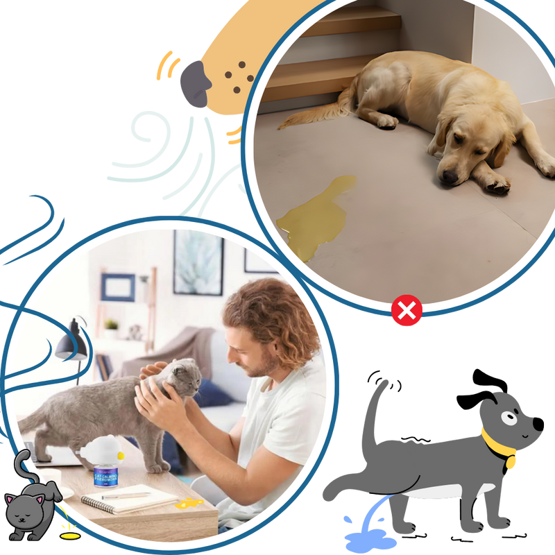 Phéromone apaisante pour animaux de compagnie