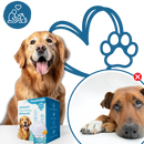 Phéromone apaisante pour animaux de compagnie