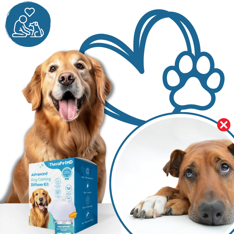 Phéromone apaisante pour animaux de compagnie