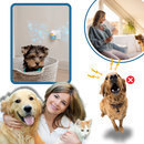 Phéromone apaisante pour animaux de compagnie