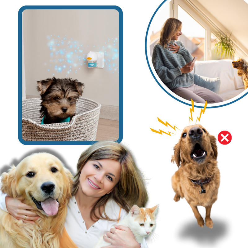 Phéromone apaisante pour animaux de compagnie